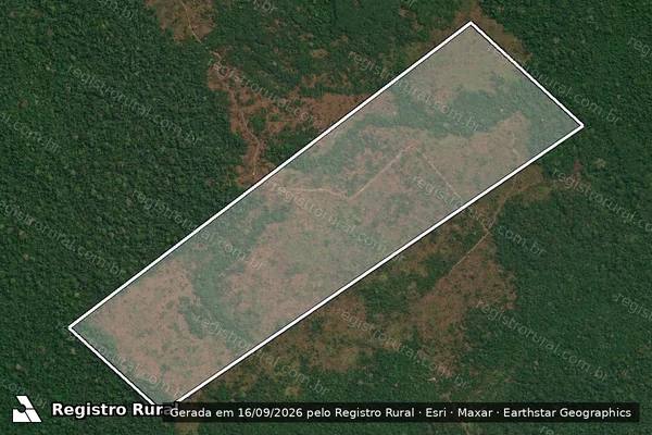 Imagem de satélite — Embargo IBAMA — Infração Ambiental - Itaituba/PA