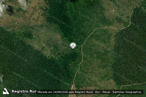 Imagem de satélite de Infração da Flora em Uruará - PA (marcador da localização)