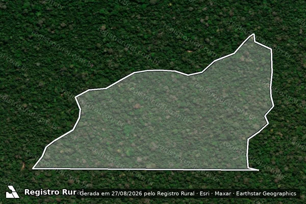 Imagem de satélite de Infração da Flora em Aripuanã - MT