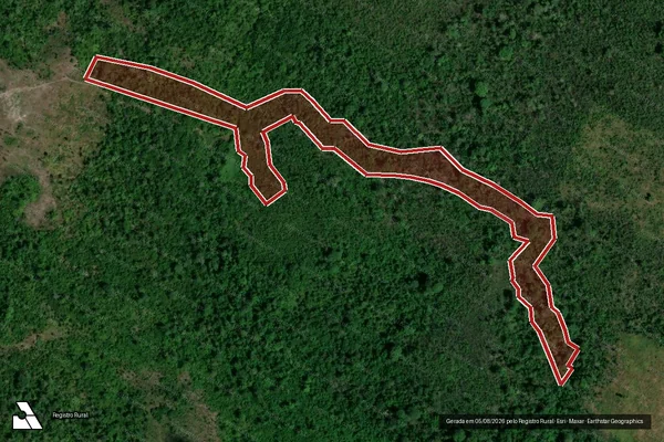 Imagem de satélite de Infração da Flora em Caracaraí - RR