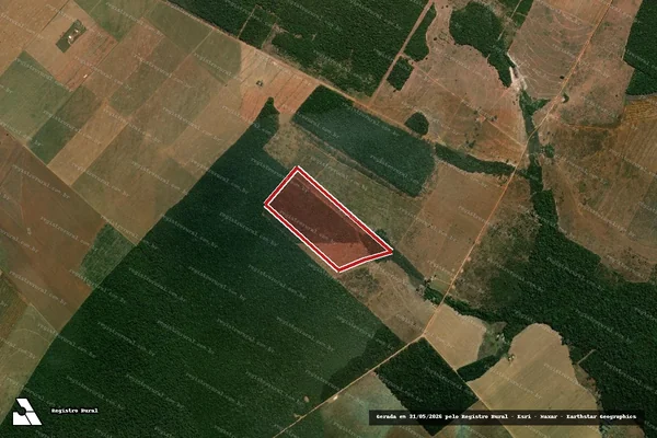 Imagem de satélite de Infração da Flora em Brasnorte - MT