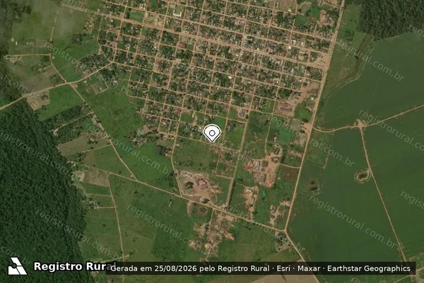 Imagem de satélite de Infração Ambiental em Candeias do Jamari - RO (marcador da localização)