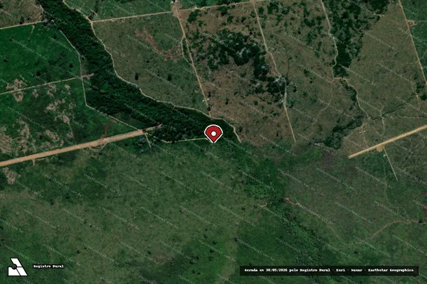 Imagem de satélite de Infração da Flora em Porto Velho - RO (marcador da localização)