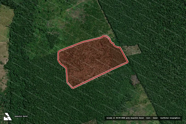 Imagem de satélite de Infração Ambiental em Humaitá - AM