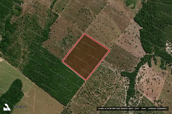 Imagem de satélite de Infração da Flora em Muricilândia - TO