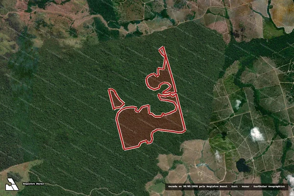 Imagem de satélite de Infração da Flora em Altamira - PA