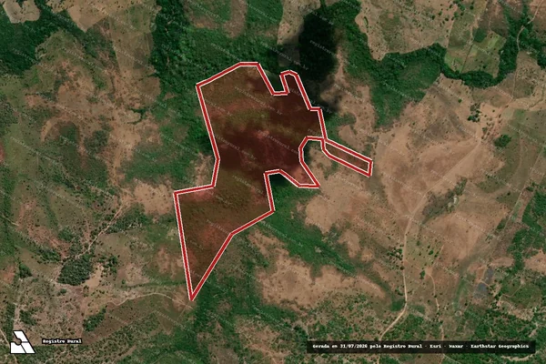 Imagem de satélite — Embargo Ambiental — Montes Altos/MA