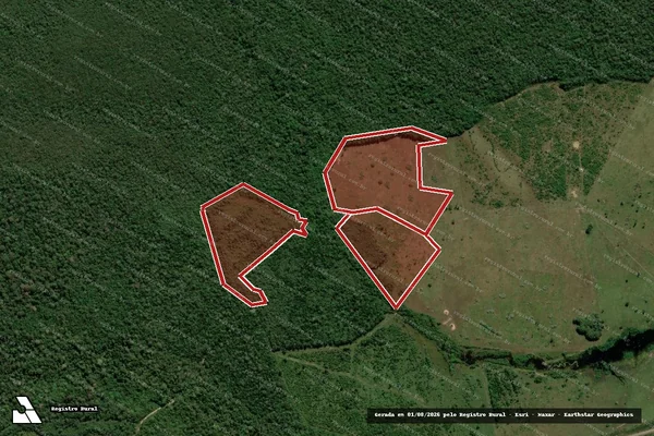 Imagem de satélite de Infração da Flora em Canutama - AM