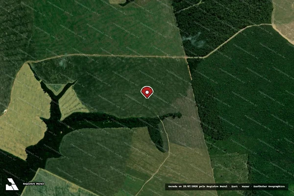 Imagem de satélite de Infração da Flora em Dom Eliseu - PA (marcador da localização)