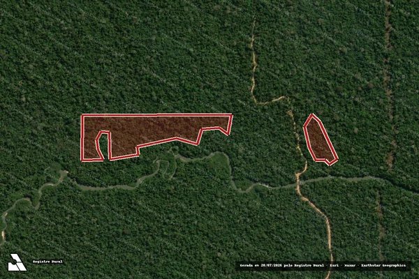 Imagem de satélite de Infração da Flora em Colniza - MT
