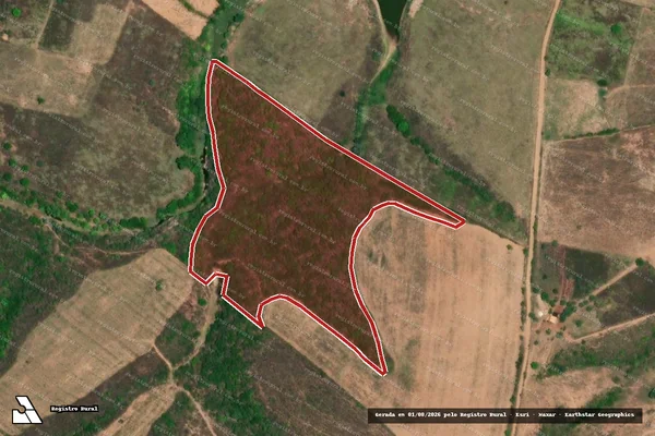 Imagem de satélite de Infração da Flora em Gararu - SE