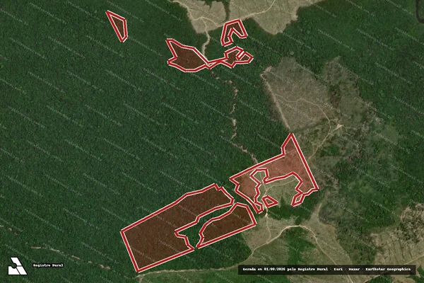 Imagem de satélite de Infração da Flora em Tailândia - PA