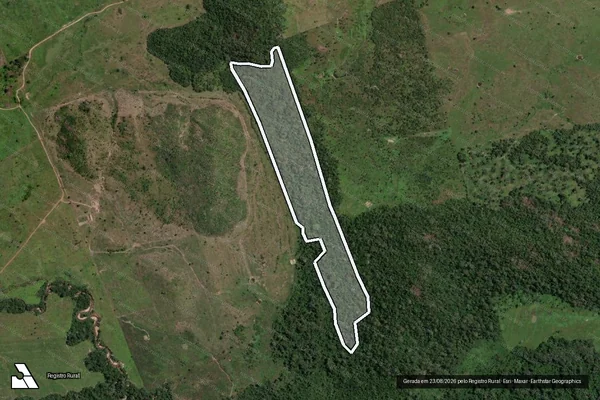 Imagem de satélite de Infração da Flora em Brasil Novo - PA