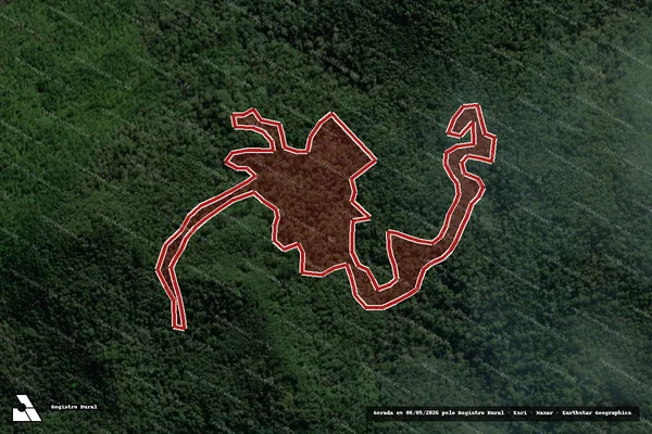 Imagem de satélite de Infração da Flora em Coronel Domingos Soares - PR