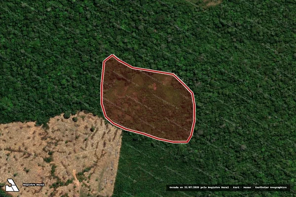 Imagem de satélite de Infração Ambiental em Acrelândia - AC