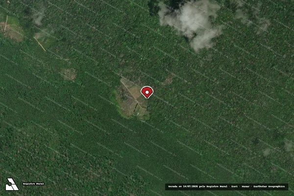 Imagem de satélite — Embargo Ambiental - Vitória do Jari/AP