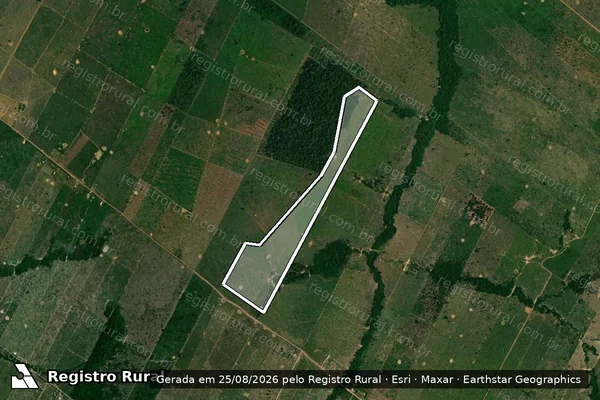 Imagem de satélite de Desmatamento em Porto Velho - RO