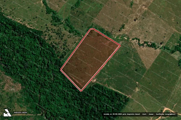Imagem de satélite de Infração Ambiental em Porto Velho - RO