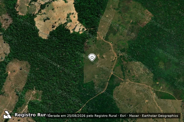 Imagem de satélite de Infração da Flora em Acrelândia - AC (marcador da localização)
