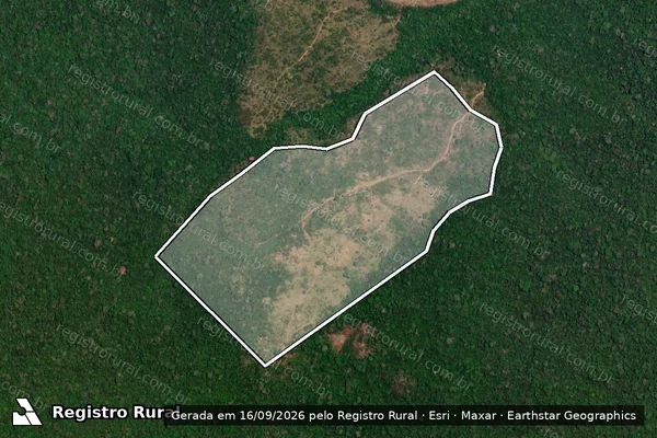 Imagem de satélite — Embargo IBAMA — Infração Ambiental - Itaituba/PA