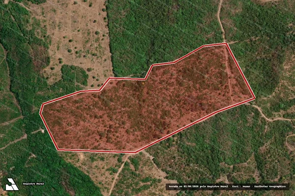 Imagem de satélite de Infração da Flora em Goianorte - TO