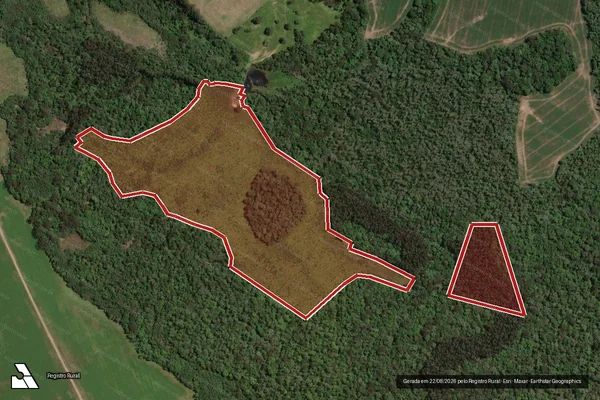 Imagem de satélite de Infração da Flora em Paula Freitas - PR