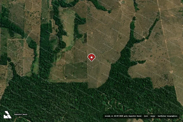 Imagem de satélite de Infração Ambiental em Colniza - MT (marcador da localização)