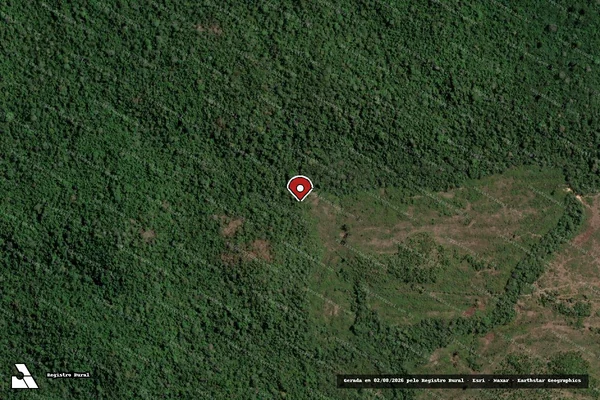 Imagem de satélite de Infração Ambiental em Novo Progresso - PA (marcador da localização)