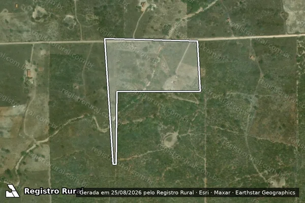 Imagem de satélite de Infração da Flora em Olho D'Água do Casado - AL