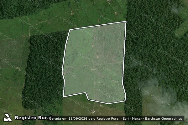 Imagem de satélite — Embargo IBAMA — Infração da Flora - Rorainópolis/RR