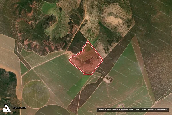 Imagem de satélite — Embargo IBAMA — Infração da Flora — Mambaí/GO