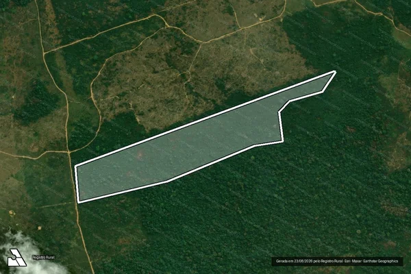 Imagem de satélite — Embargo IBAMA — Infração da Flora - Rurópolis/PA