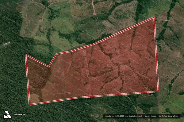 Imagem de satélite de Infração da Flora em Novo Progresso - PA