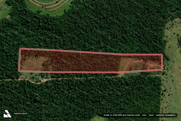 Imagem de satélite de Infração Ambiental em Paranhos - MS