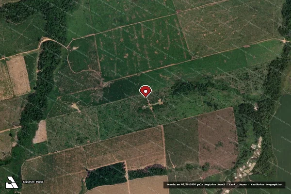 Imagem de satélite de Infração Ambiental em Novo Progresso - PA (marcador da localização)