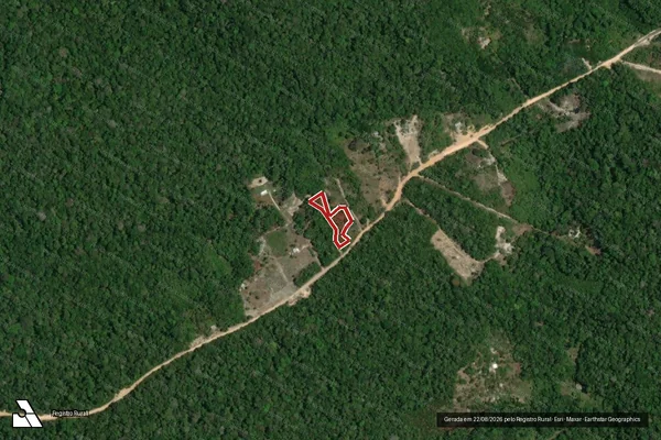 Imagem de satélite de Infração da Flora em Manaus - AM
