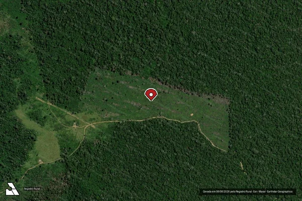 Imagem de satélite de Infração da Flora em Uruará - PA (marcador da localização)