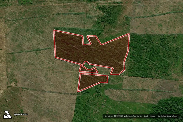 Imagem de satélite de Infração Ambiental em Guajará-Mirim - RO