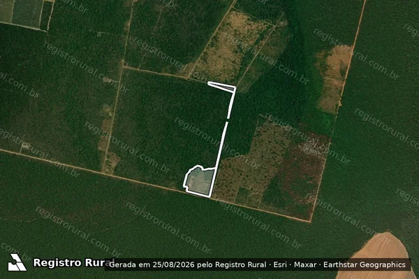 Imagem de satélite de Infração da Flora em Querência - MT
