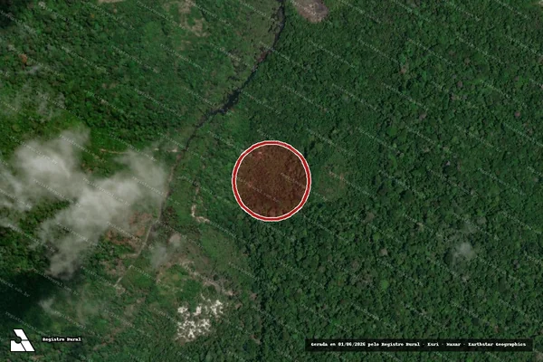 Imagem de satélite de Infração da Flora em Santarém - PA