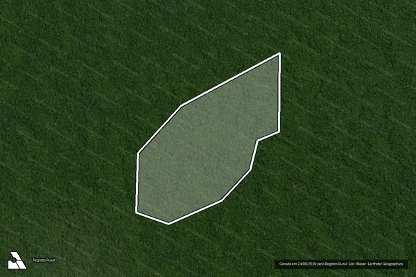 Imagem de satélite de Infração da Flora em Portel - PA