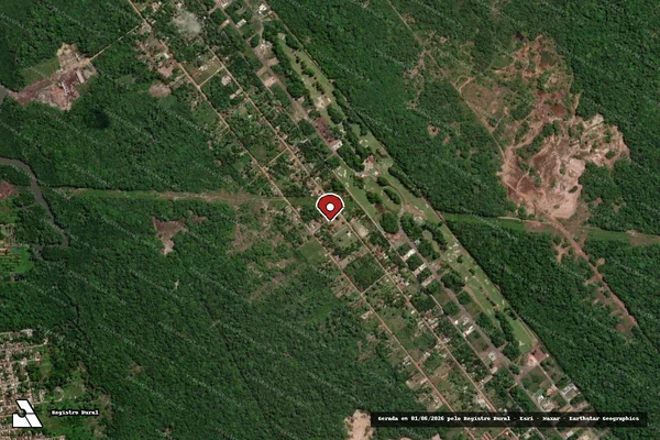 Imagem de satélite — Embargo IBAMA — Infração da Flora — Marituba/PA