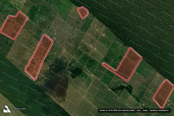 Imagem de satélite de Infração da Flora em Porto Velho - RO