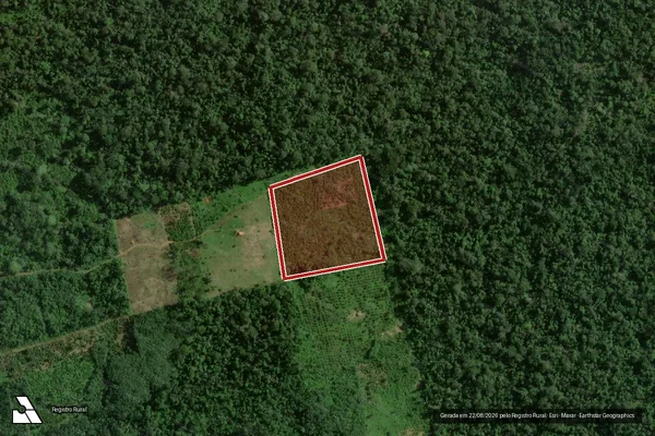 Imagem de satélite de Infração da Flora em Uruará - PA