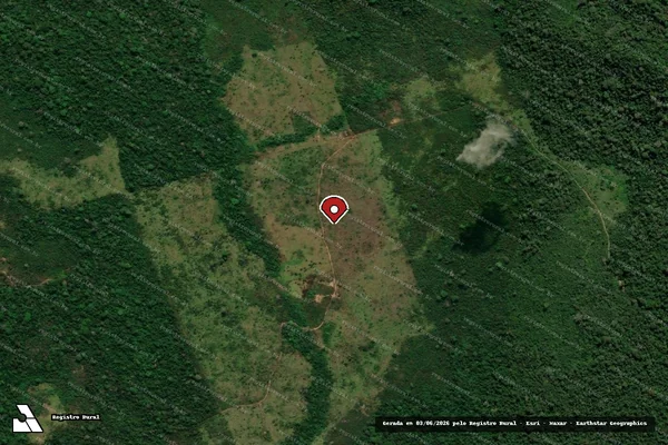 Imagem de satélite de Infração Ambiental em São Félix do Xingu - PA (marcador da localização)