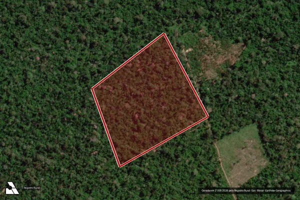 Imagem de satélite de Infração Ambiental em Uruará - PA