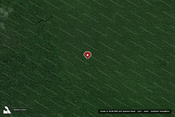 Imagem de satélite — Embargo IBAMA — Infração Ambiental - Igarapé-Miri/PA