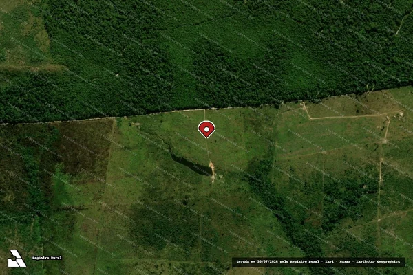 Imagem de satélite de Infração da Flora em Nova Monte Verde - MT (marcador da localização)