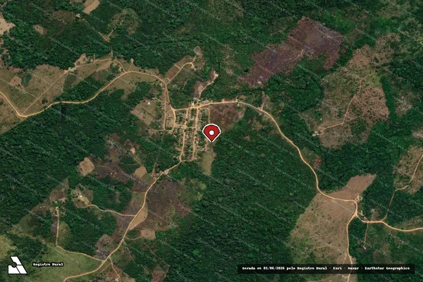 Imagem de satélite de Infração Ambiental em Trairão - PA (marcador da localização)