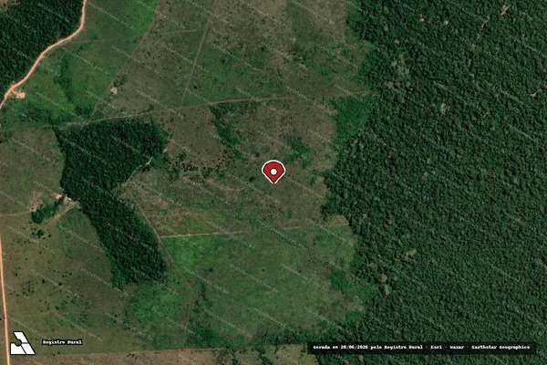 Imagem de satélite de Infração da Flora em Porto Velho - RO (marcador da localização)